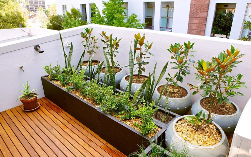Terrace Garden Designer In Delhi NCR